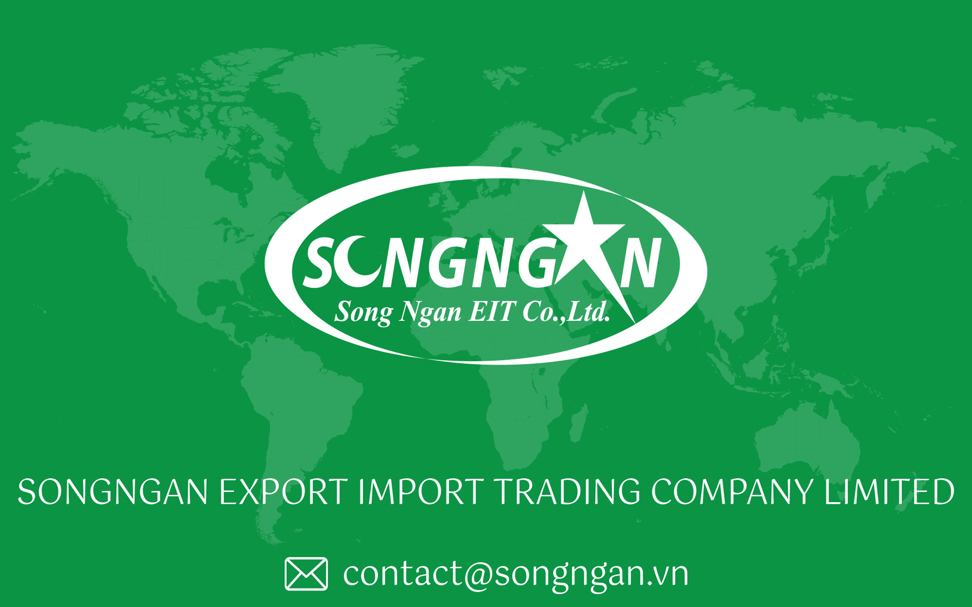 Song Ngân Banner